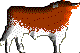 adilblanco