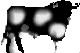 alunarado