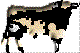 aparejado