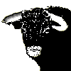 bociblanco