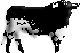 burraco