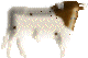 capirote