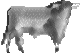 cenizo