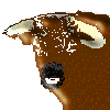 mohino