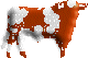 salinero